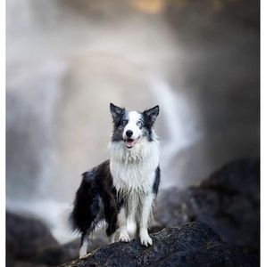 Meet your Posher, Sarah-danielle